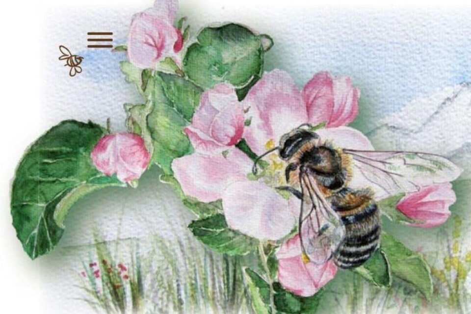 Beekeeping and queen breeding Stockreiter - Impression #1 | © Imkerei Stockreiter