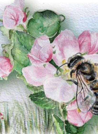 Biene auf Blume | © Imkerei Stockreiter