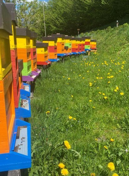 Bienenstand Schladming | Gebirgsimkerei Schladming Johann Lettner