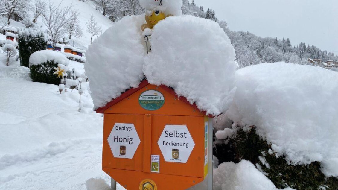 Winterfoto_komprimiert