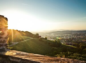 Blick auf Deutschlandsberg | © Lupi Spuma