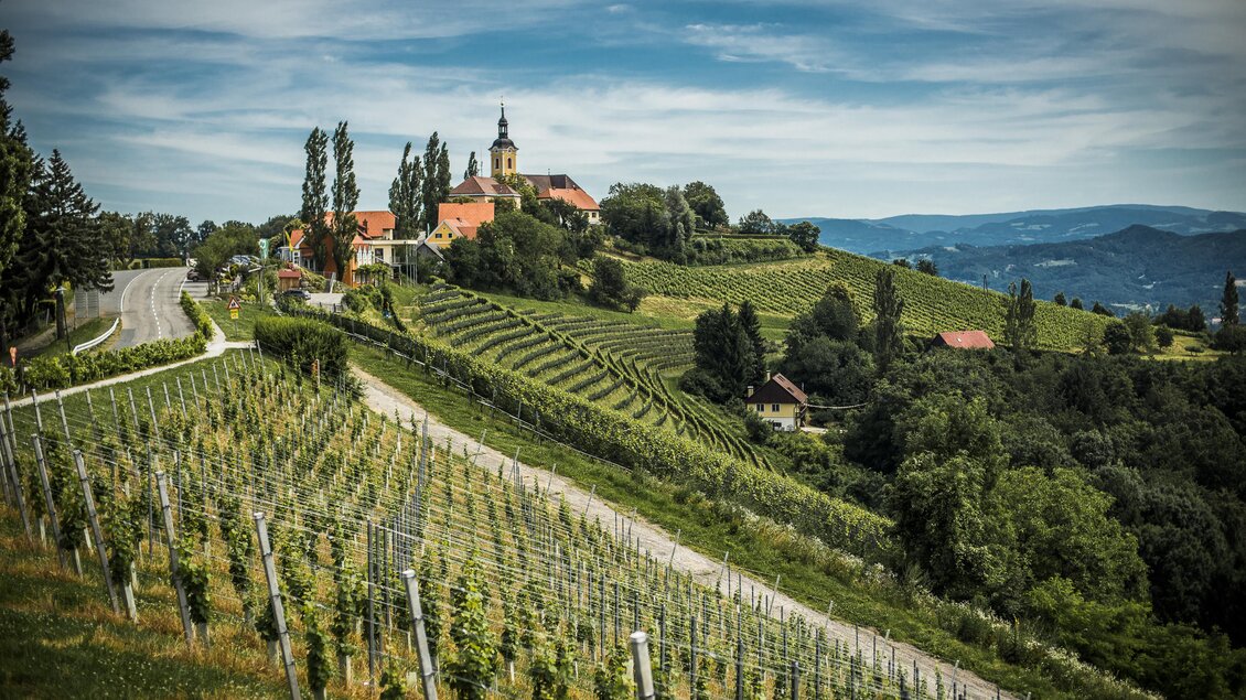 Eine malerische Landschaft mit Weinbergen, die sanft hügelig ansteigen. Im Hintergrund sind ein historisches Gebäude und eine Straßenansicht zu sehen. | © Weingut Schneeberger | C.Mavric