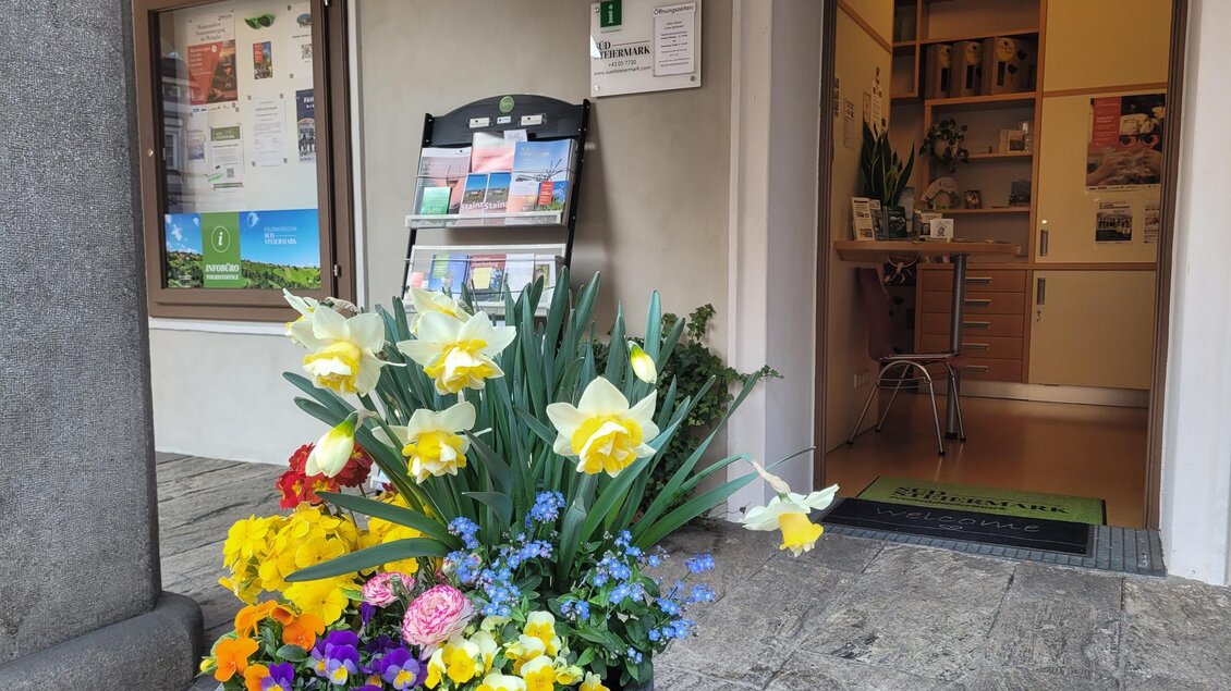 Ein blühender Blumenkübel mit bunten Blumen, darunter gelbe Narzissen. Im Hintergrund sieht man einen Eingangsbereich mit Informationsmaterial. | © TV Südsteiermark - Irene Löschnig