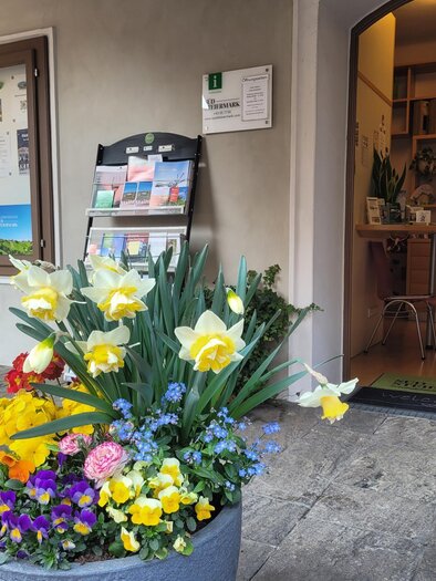 A blooming flower pot with colorful flowers, including yellow daffodils. In the background, there is an entrance area with informational materials. | © TV Südsteiermark - Irene Löschnig