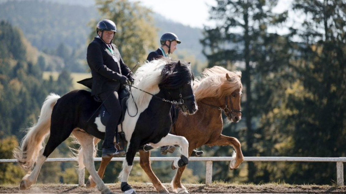 Islandpferdehof Piet Hoyos | © Piet Hoyos-Fiona Tatschl