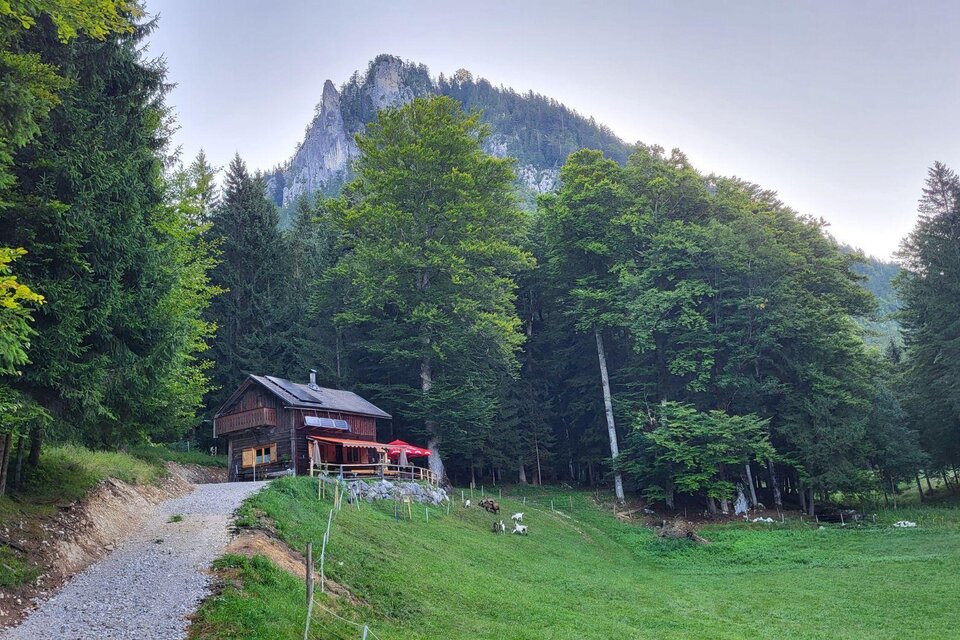 Jausenhütte Bärnmoos - Impression #1 | © TVB Ausseerland Salzkammergut/Petra Kirchschlager