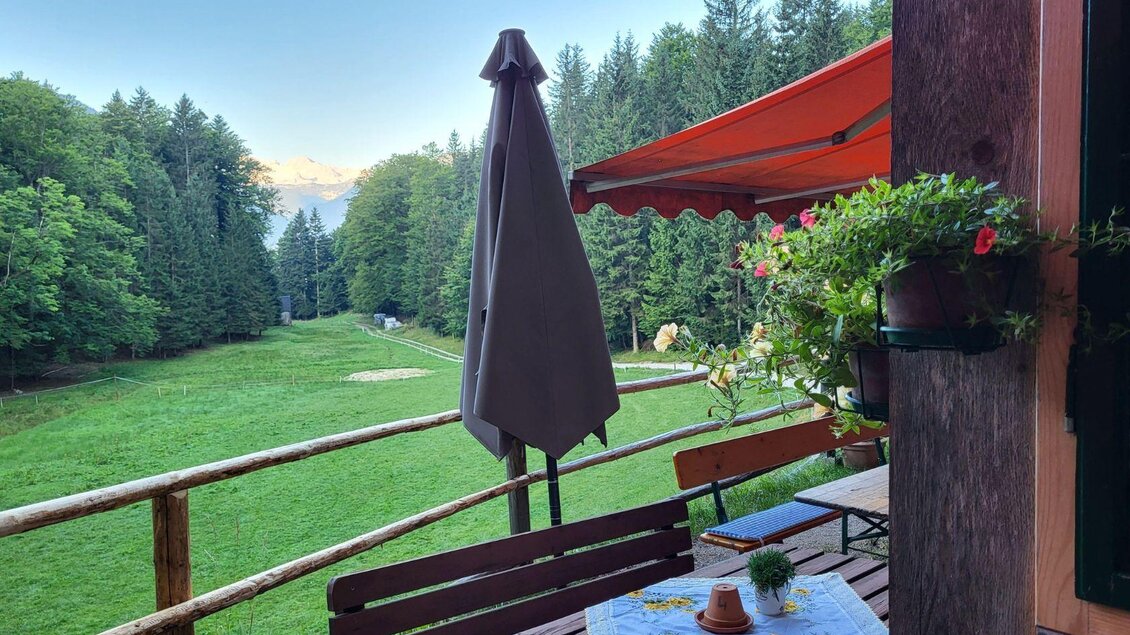 Der Blick von der Jausenstation Bärnmoos in Bad Aussee auf die idyllische Wiese inmitten von hohen Bäumen, zwischen denen der schneebedeckte Dachstein in abendlichem Licht hervorscheint.  | © TVB Ausseerland Salzkammergut/Petra Kirchschlager