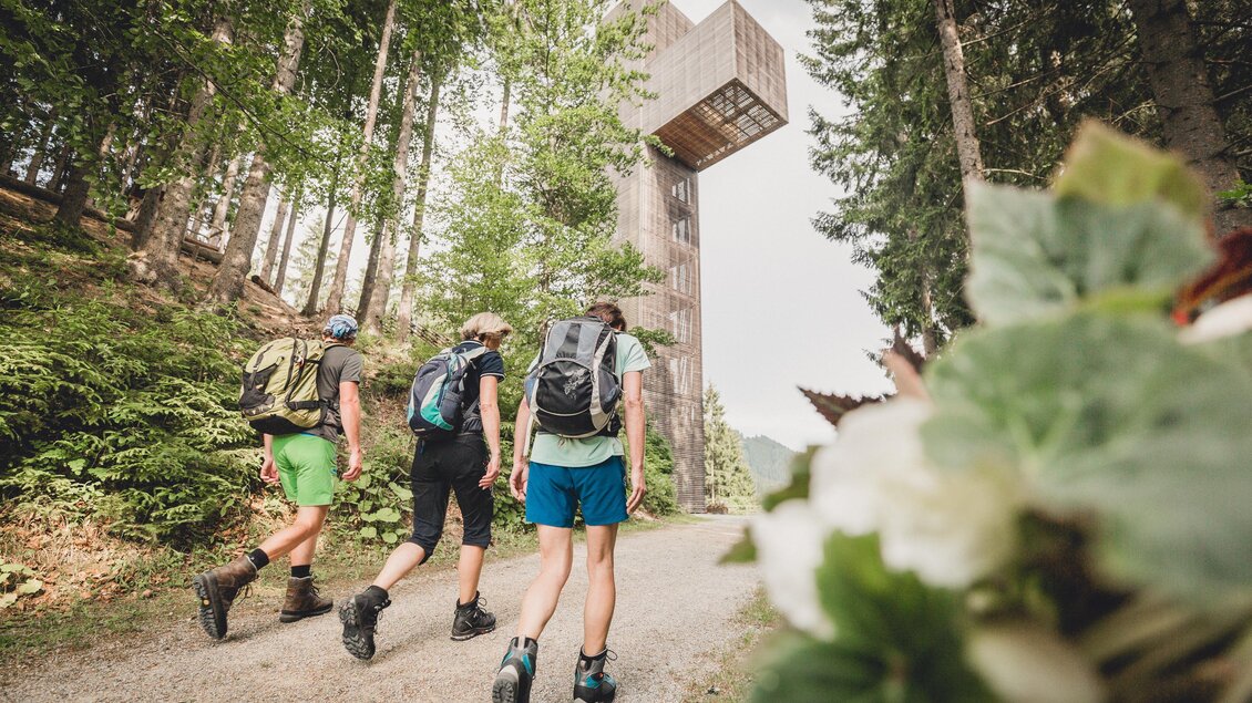 Drei Wanderer gehen auf einem Weg durch einen Wald. Im Hintergrund ist ein moderner Aussichtsturm zu sehen. | © TV Hochsteiermark, nicoleseiser.at
