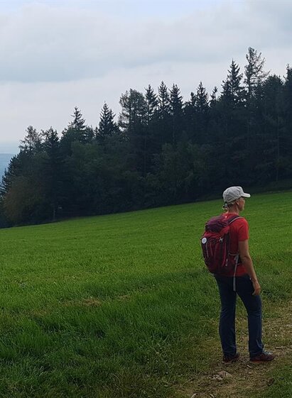Jochbauer Höhe | © Tourismusverband Oststeiermark