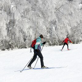 <p>Zwei Langläufer auf einer Loipe. Im Hintergrund schneebedeckte Bäume.</p> | © Gerry Wolf