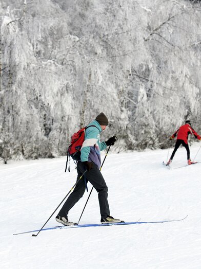 Jogllandloipe_cross country skiing_Eastern Styria | © Gerry Wolf | Gery Wolf | © Gerry Wolf