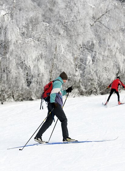Jogllandloipe_cross country skiing_Eastern Styria | Gery Wolf | © Gerry Wolf