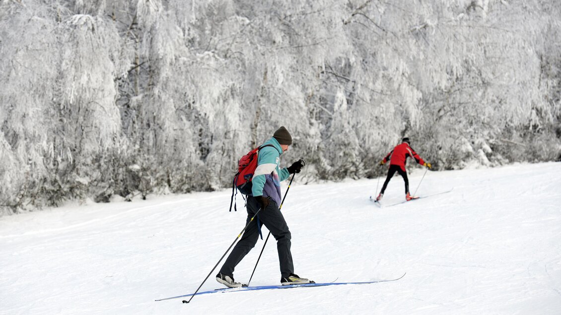 <p>Zwei Langläufer auf einer Loipe. Im Hintergrund schneebedeckte Bäume.</p> | © Gerry Wolf