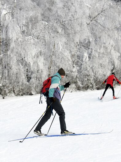 <p>Zwei Langläufer auf einer Loipe. Im Hintergrund schneebedeckte Bäume.</p> | © Gerry Wolf