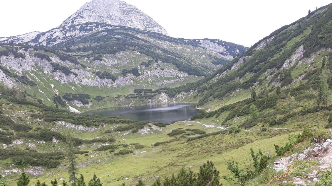 Eine malerische Berglandschaft mit einer ruhigen, klaren See und grünen Wiesen. Im Hintergrund erheben sich majestätische Gipfel. | © Stephanie Bor