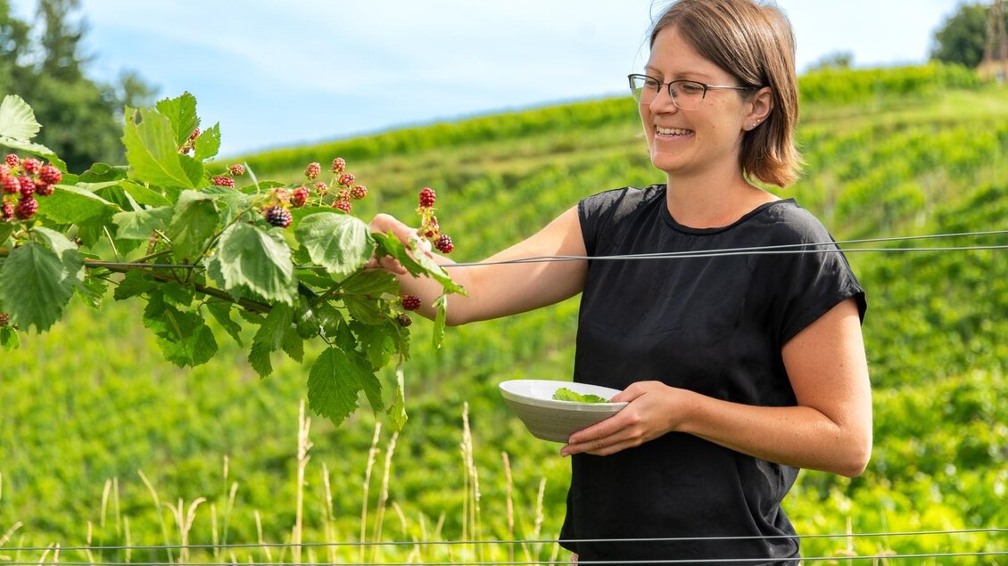 Eine Frau erntet Trauben in einem Weinberg. Sie hält eine Schüssel in der Hand und lächelt. | © RMSW GmbH-webquartier