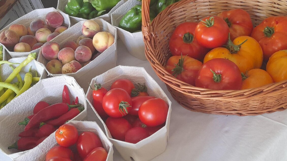 Körbe und Schalen mit Tomaten, Paprika, Chili und weiterem Gemüse aus Kathi’s Hofladen in Ligist | © Katharina Leitner