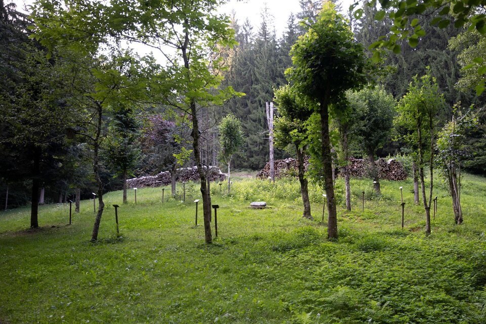Keltischer Baumkreis - Impression #1 | © Schilcherland Steiermark