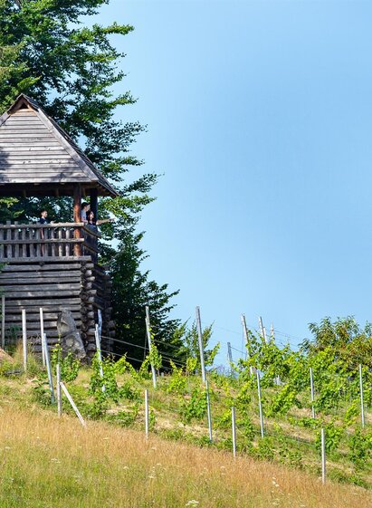 Keltischer Wehrturm | TV Südsteiermark | © Peter Schimpel