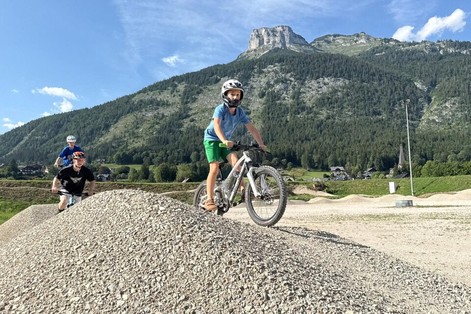 passt jeder sattel auf jede sattelstütze Hobson Pro Hub X2 Sattel, Schwarz Sport & Freizeit Era:2000s Goblin Merchant - Final Größe:52-55