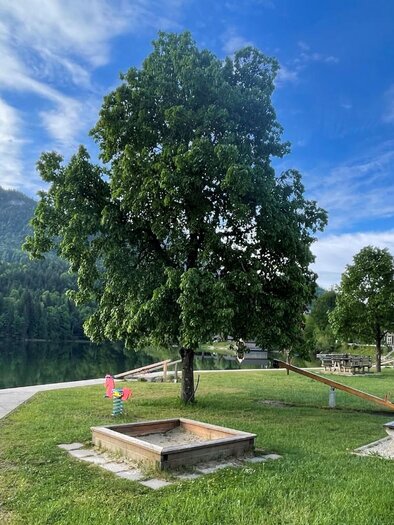 Ein ruhiger See mit grünem Ufer und einem großen Baum. Im Hintergrund sind sanfte Hügel und ein paar Gebäude zu sehen. | © Bettina Scheck
