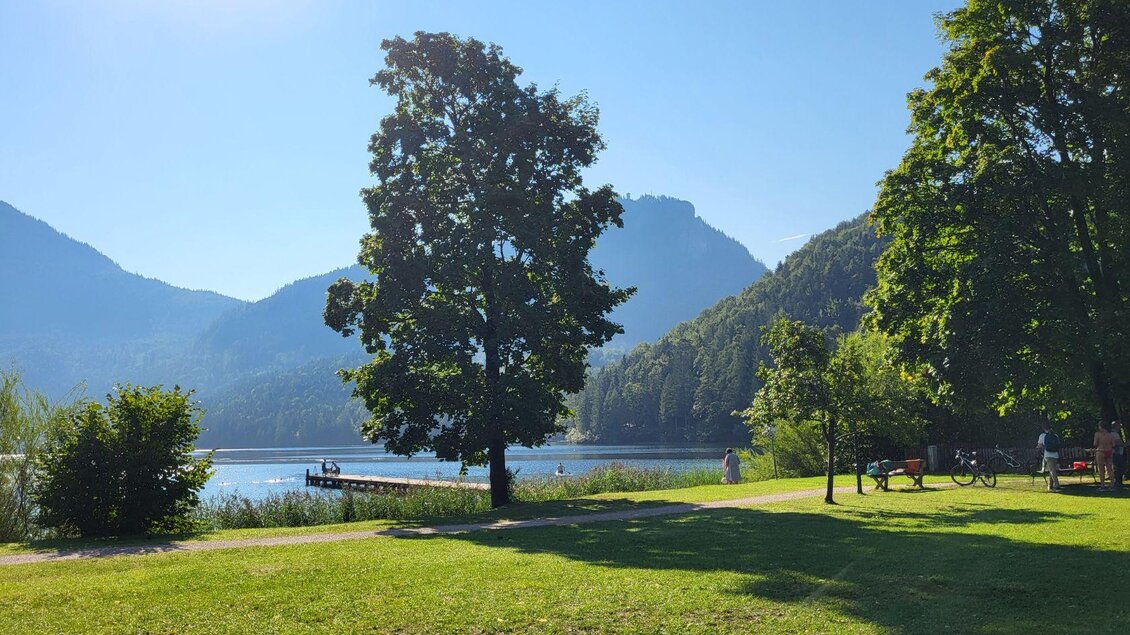 Ein ruhiger See umgeben von Bergen und üppigem Grün. Im Vordergrund steht ein großer Baum auf einer Wiese. | © Petra Kirchschlager