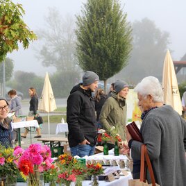 Ein Markt im Freien mit mehreren Ständen, die Blumen und Pflanzen anbieten. Menschen unterhalten sich und genießen die frische Morgenluft in einem nebligen Ambiente. | © Martin Fahrenberger-Zirngast