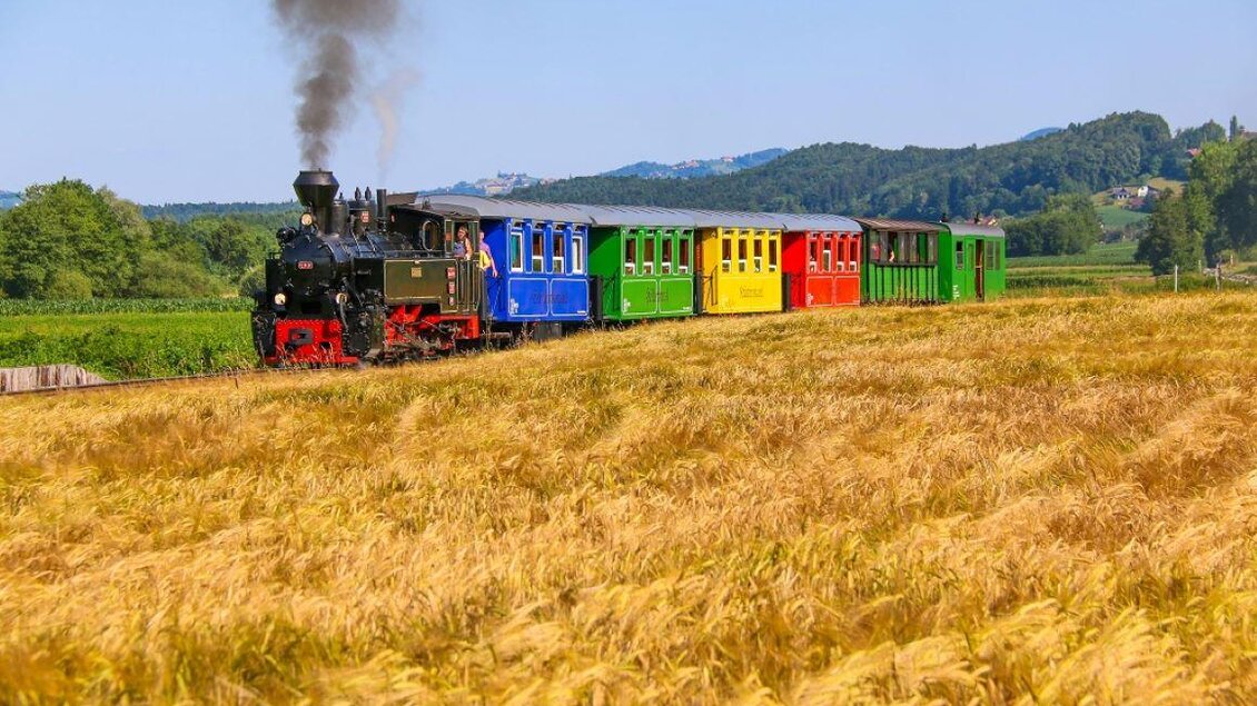 Eine dampfbetriebene Lokomotive fährt durch ein goldenes Feld. Der Zug hat bunte Waggons und ist von sanften Hügeln umgeben. | © Flascherlzug Stainz