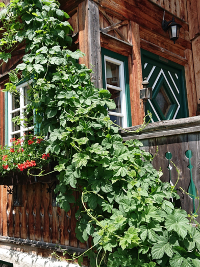 Knödl-Alm, Bad Mitterndorf | © Knödl-Alm | Knödl-Alm | © Knödl-Alm