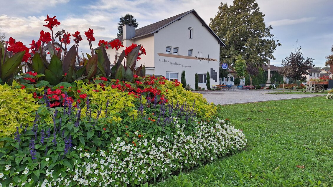 Konditorei im Gasthaus Haiden - Impressionen #2.7