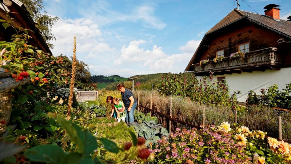 Herbs Hochegger_Vegetables garden_Eastern Styria | © Kräutergarten Hochegger