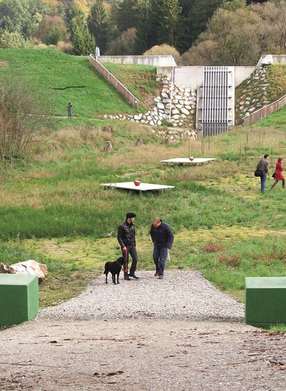 Retention basin_Ford view_Eastern Styria
