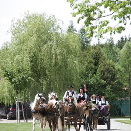 Baumessner-Kutschenfahrten-Murtal-Steiermark | © Erlebnisregion Murtal