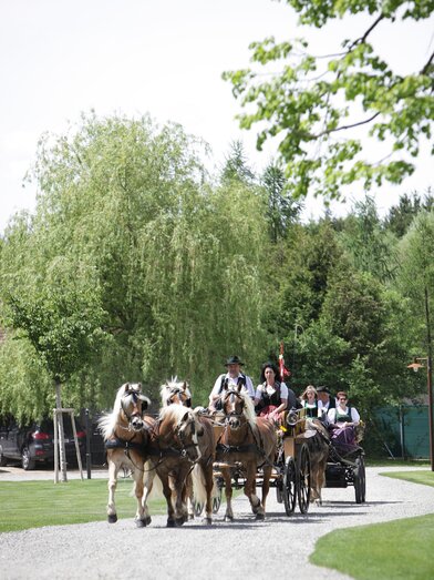 Baumessner-Kutschenfahrten-Murtal-Steiermark | Erlebnisregion Murtal | © Erlebnisregion Murtal