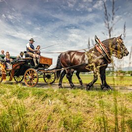 A carriage is being pulled by a horse through a rural area. Several people are sitting in the carriage and enjoying the surroundings. | © Wolfgang Spekner