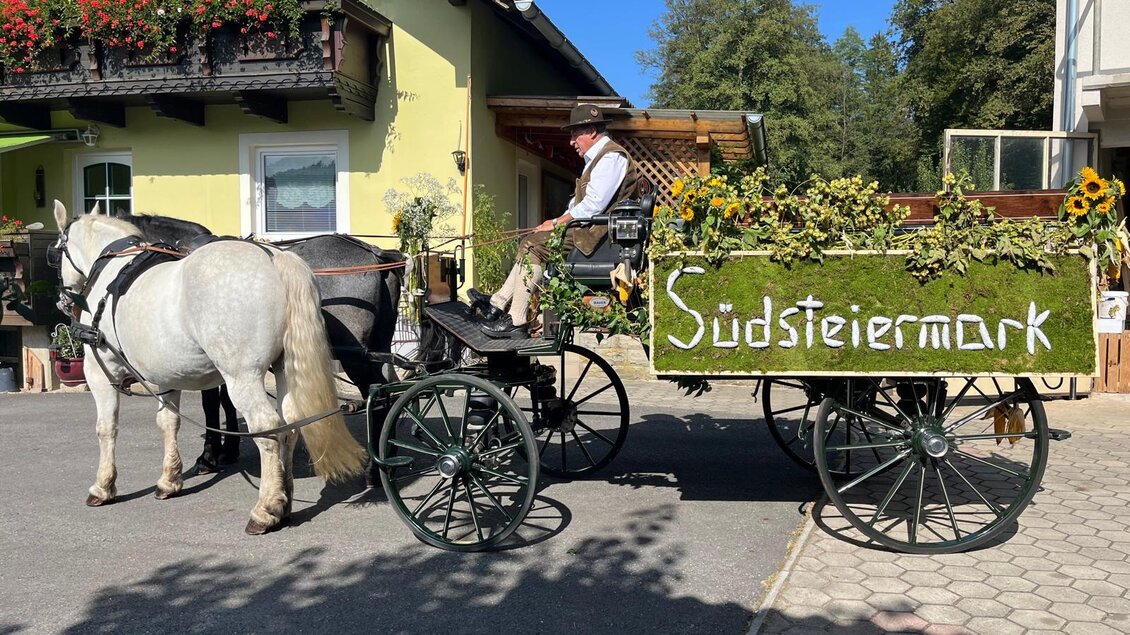 Kutschenfahrten Schupanez - Impressionen #2.1