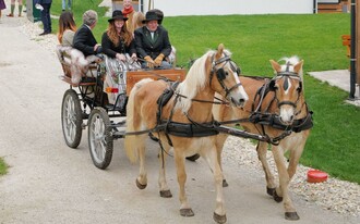 Kutschenfahrt, Grundlsee, Pferdekutsche | © Tourismusverband Ausseerland
