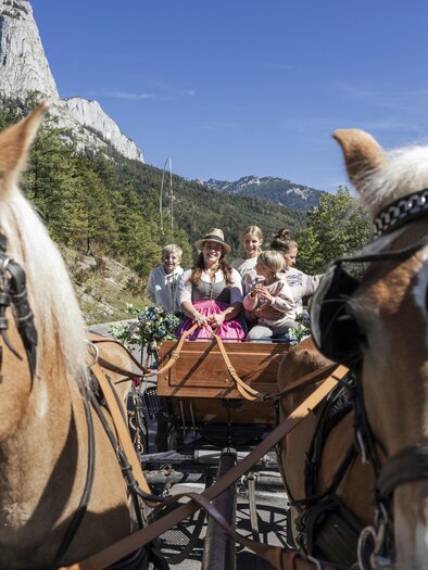 A carriage is drawn by two beautiful horses. Inside, several people are seated in traditional clothing, surrounded by a picturesque landscape. | © www.zloam.at
