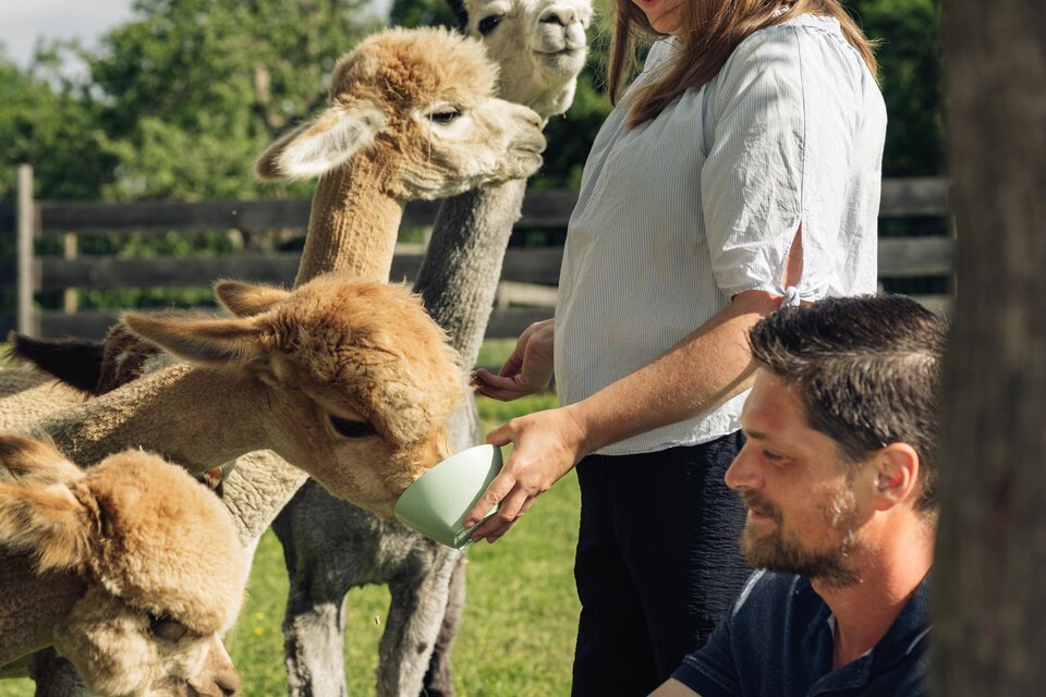 La Paca am Bio Schusterbauerhof - Impression #1 | © Bernd Grosseck