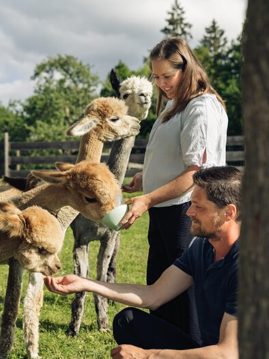 Zwei Personen füttern ein paar Alpaka. | © Bernd Grosseck