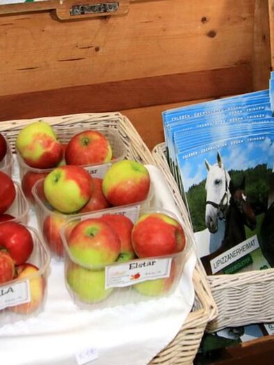 A basket of freshly harvested apples in various colors. Next to it are brochures with pictures of horses. | © Karl Mayer