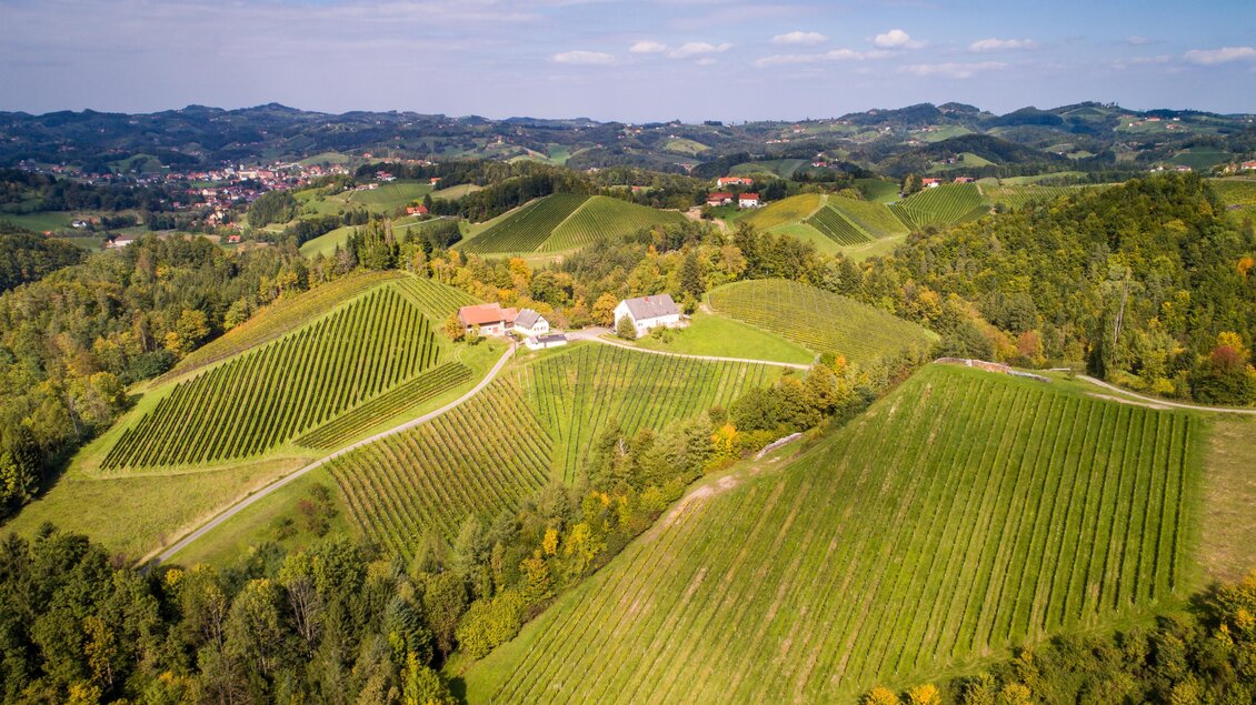 Eine malerische Landschaft mit sanften Weinbergen und einem klaren Himmel. Entlang der Hügel sind mehrere Häuser sichtbar, umgeben von reichhaltigem Grün. | © @Mario Gimpel