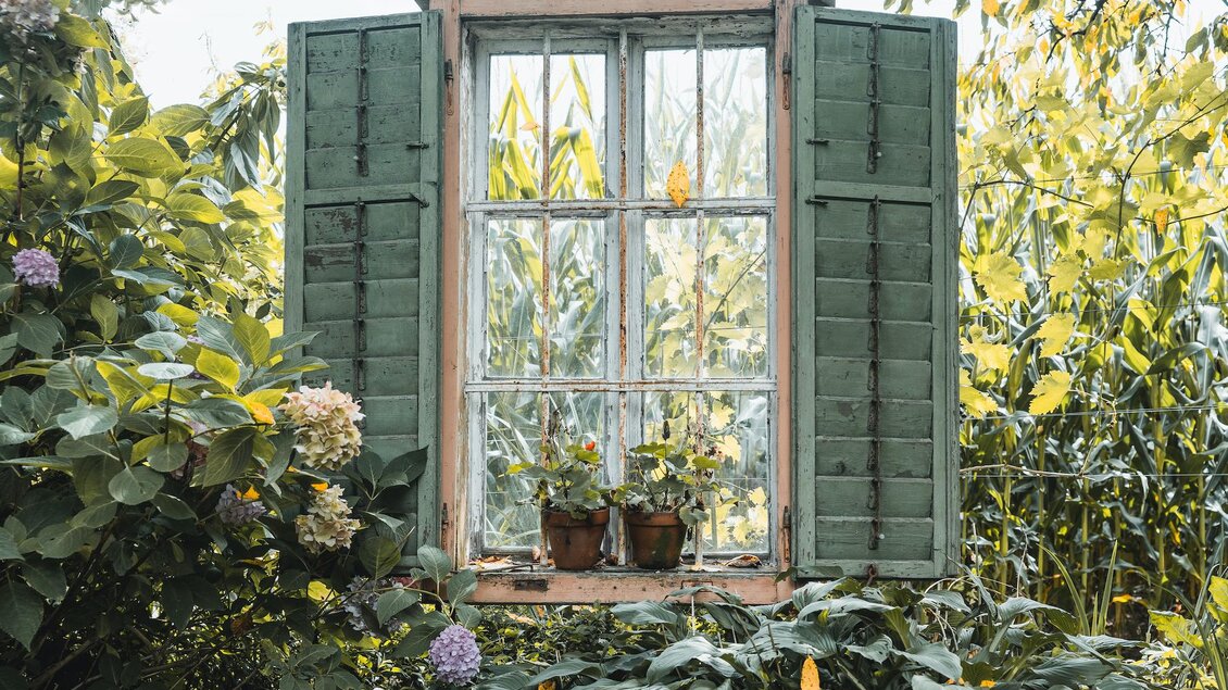 Ein offenes Fenster mit grünen Fensterläden, das auf einen üppigen Garten blickt. Pflanzen in Töpfen stehen auf der Fenstersill. | © Landhaus Kainz | Fam. Kainz