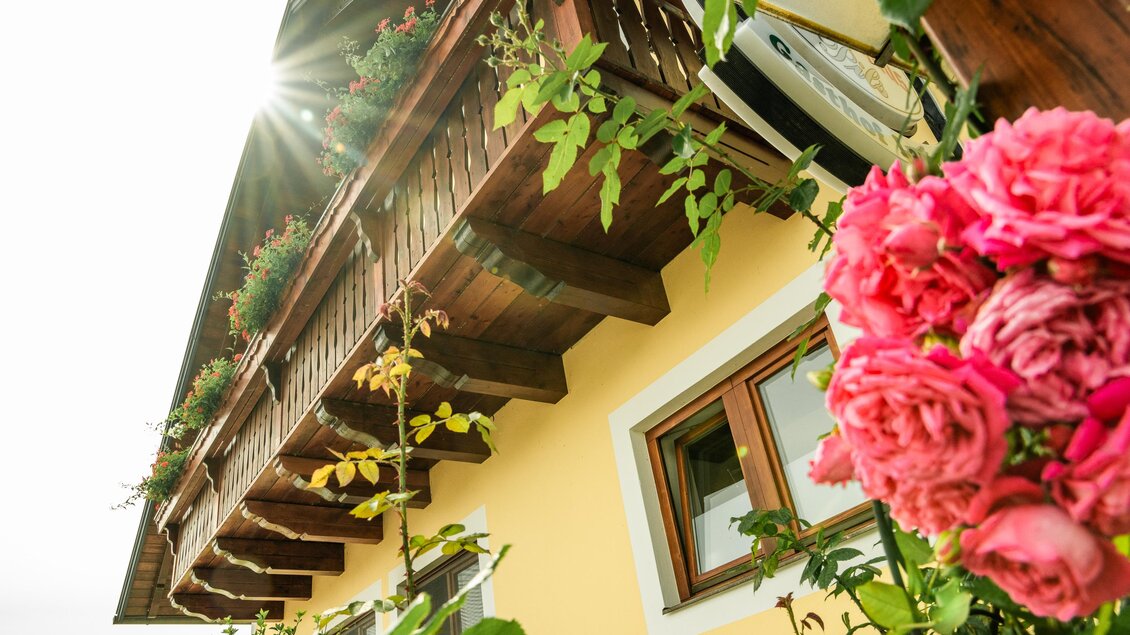 Rosa blühende Rosen vor der gelben Fassade und dem Holzbalkon des Landhof Lazarus in Mooskirchen | © Region Graz - Mias Photoart