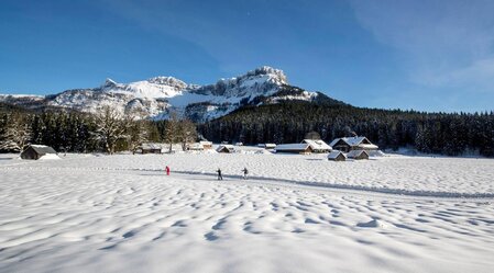 Cross-country ski trails, Altaussee, Blaa Alm | © TVB Ausseerland - Salzkammergut-Tom Lamm | TVB Ausseerland - Salzkammergut-Tom Lamm | © TVB Ausseerland - Salzkammergut-Tom Lamm