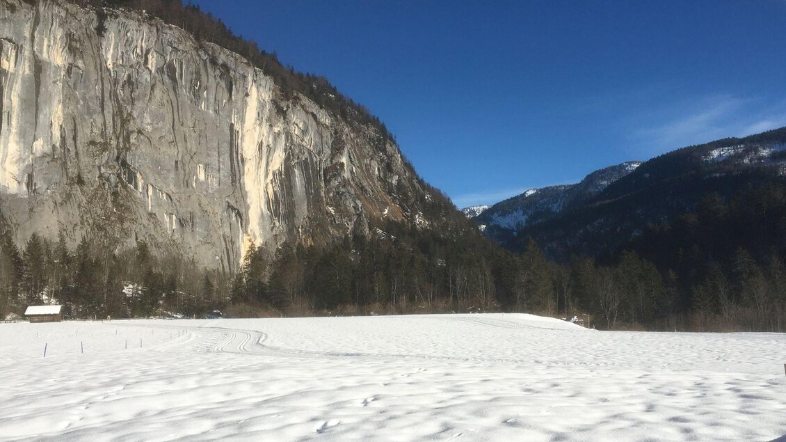 Eine schneebedeckte Landschaft mit einem hohen, felsigen Hang im Hintergrund. Der klare blaue Himmel sorgt für eine ruhige Atmosphäre. | © Waltraud Loitzl