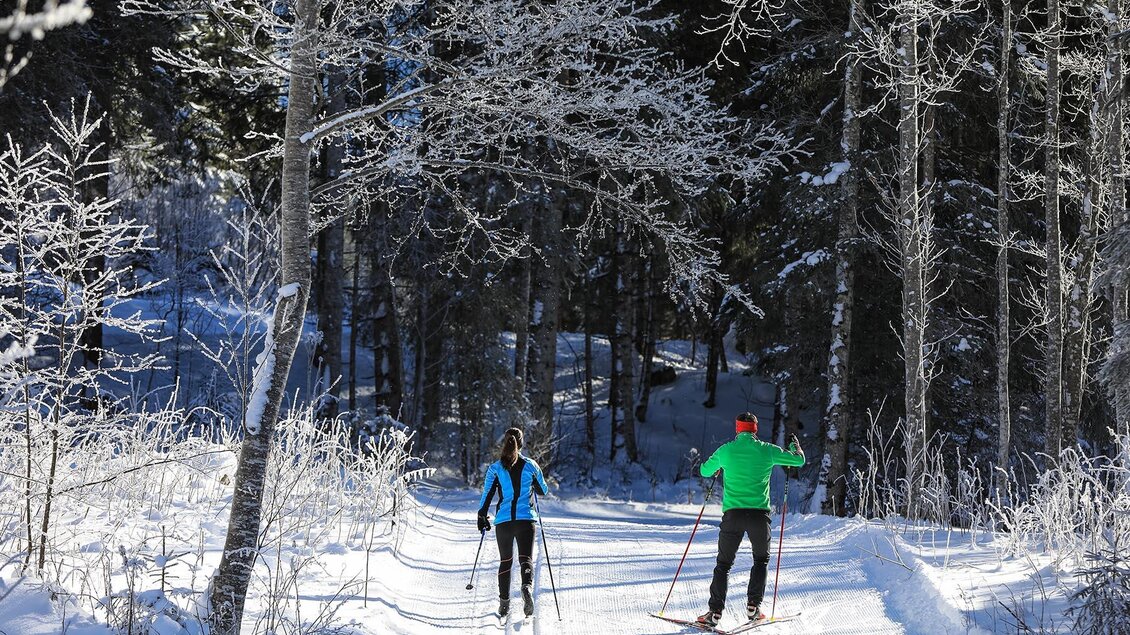 Zwei Personen beim Langlaufen auf einem verschneiten Weg durch einen winterlichen Wald. Die Bäume sind mit frostigem Schnee bedeckt. | © Gerhard Pilz/Tourismusverband Schladming - Martin Huber