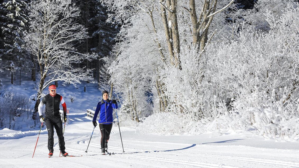 Zwei Personen fahren Langlauf im Schnee. Die Landschaft ist von frostigen Bäumen umgeben und strahlt winterliche Schönheit aus. | © Gerhard Pilz/Tourismusverband Schladming - Martin Huber