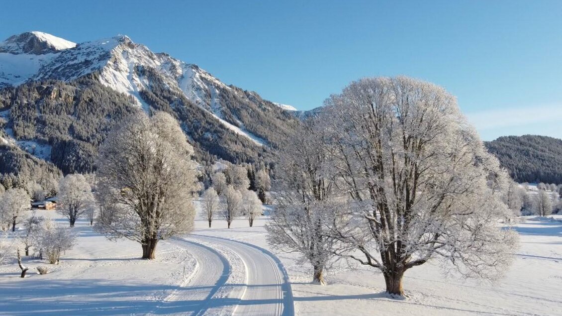 Loipeneinstieg Hotel Annelies | © Langlaufschule Hotel Annelies in Ramsau am Dachstein