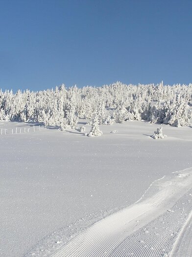 Rabl-Kreuz cottage_cross-country skiing trail_Eastern Styria | © Tourismusverband Oststeiermark | © Tourismusverband Oststeiermark